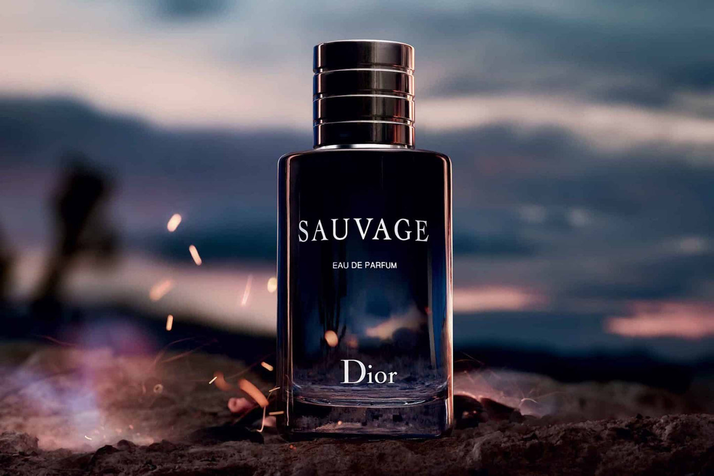 Dior Sauvage Eau de Parfum 100ml