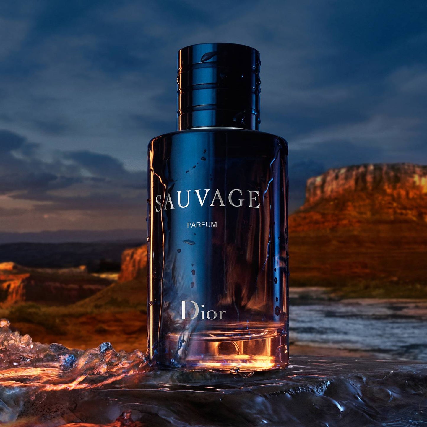 Dior Sauvage Eau de Parfum 100ml